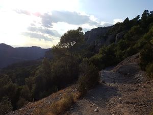 Itineraris guiats al massís Sant Llorenç del Munt i la Serra de l’Obac