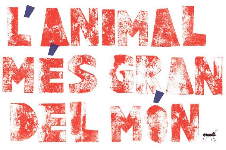 Animal_familiar_140925 – Carles Miralles